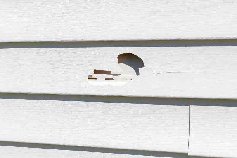 Expert Siding Repair Service