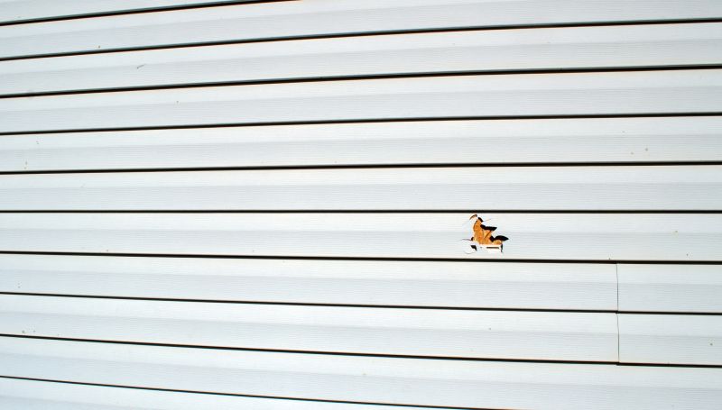 Seam Sealing by a Specialist